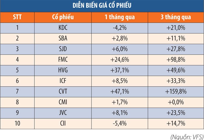 Cổ phiếu nào có khả năng tăng giá cuối năm? ảnh 2