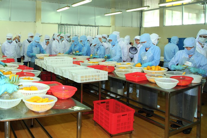 Cuộc đối thoại minh bạch của TSC, FIT ảnh 2