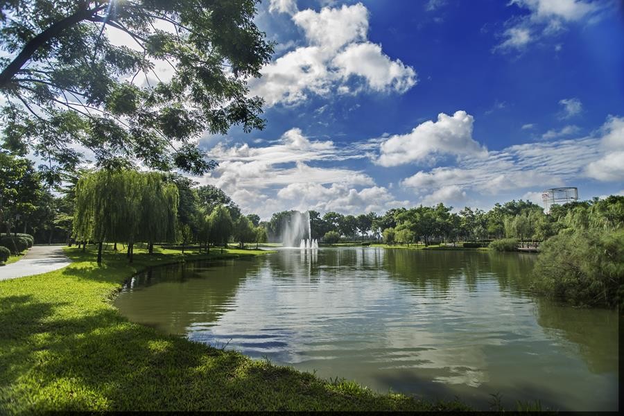 Ngày hội từ thiện Gamuda Land thu hút hơn 12.000 người tham gia ảnh 1