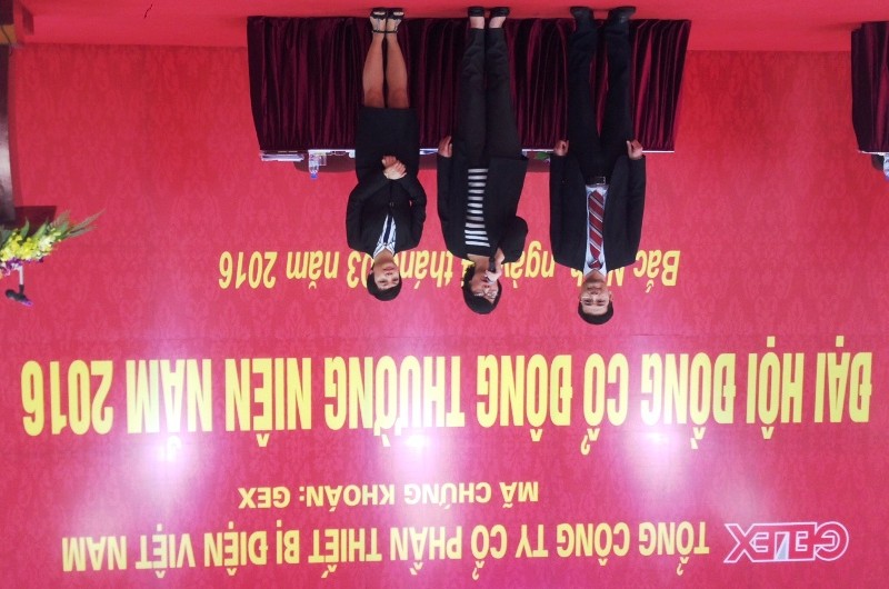 ĐHCĐ Gelex - GEX: Chốt xong nhân sự HĐQT ảnh 2