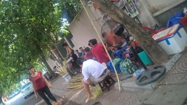 Róc hàng chục bó mía mỗi ngày, nhưng số tiền thu lời của nghề hót này rất lớn