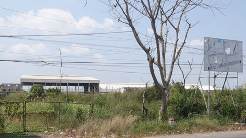 Dù được giải ngân hàng trăm tỷ đồng nhưng Công ty nông thủy sản Tây Namvẫn "vườn không nhà trống". Ảnh: Cửu Long truc-loi-vay-von-uu-dai-giam-doc-o-mien-tay-bi-bat-1