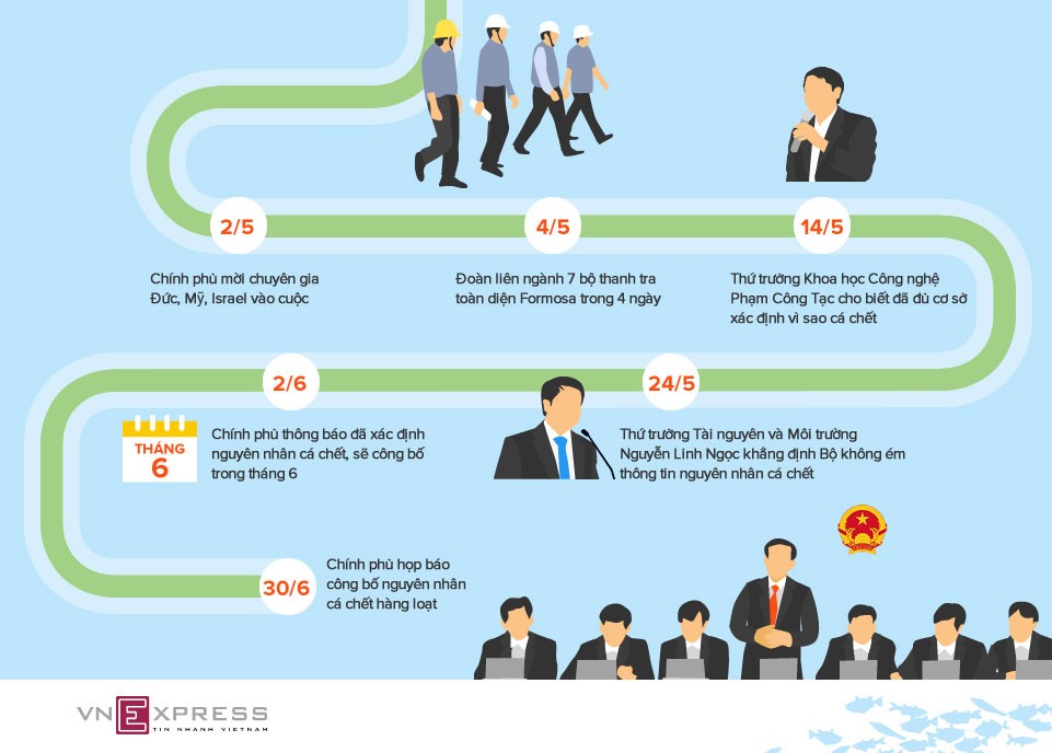 Hôm nay Chính phủ công bố thủ phạm gây cá chết hàng loạt ảnh 1