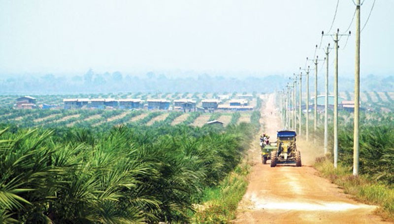 Mua nhà máy đường của HAG, SBT như hổ thêm cánh  ảnh 2