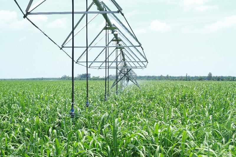 SBT hiện thực hóa ước mơ Đông Dương ảnh 2