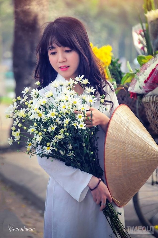 Cúc họa mi 'đón' mùa tinh khôi ảnh 1