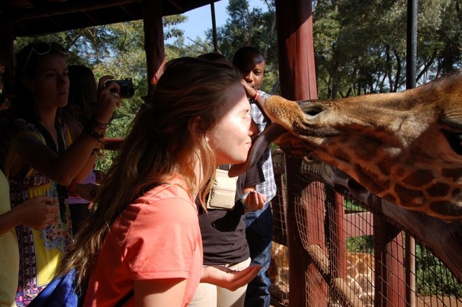 Du khách 'ngã ngửa' vì hươu cao cổ dùng lưỡi khi hôn