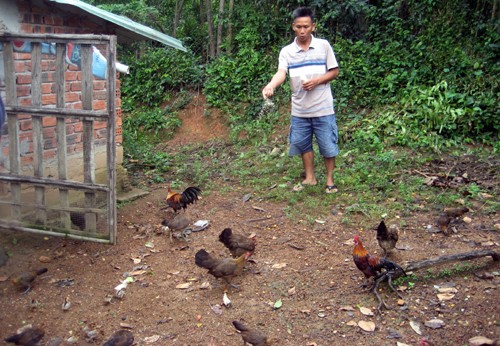 thu-100-trieu-dong-tu-7-qua-trung-ga-rung-2