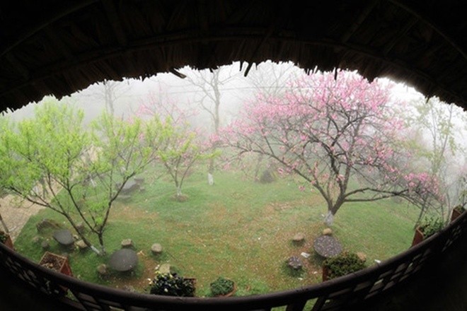 Những cung đường phía Bắc ngắm hoa xuân đẹp mê hồn ảnh 4