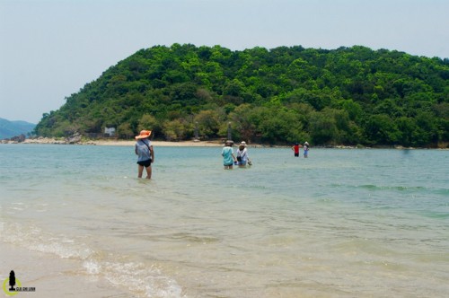 Ba con đường cho khách đi bộ giữa biển ở Việt Nam ảnh 5