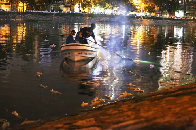 Cá chết la liệt trên mặt hồ Hoàng Cầu ảnh 4