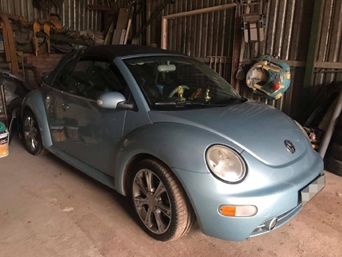 con-bo-beetle-len-doi-100-trieu