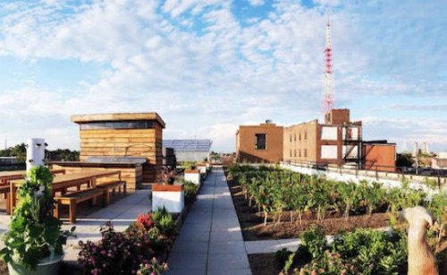 7-nghe-nghiep-dien-ro-trong-tuong-lai-6