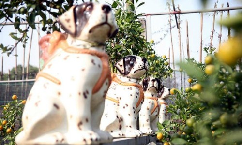 Bon sai cười chú chó đốm có giá 2 triệu đồng. Ảnh:TP.