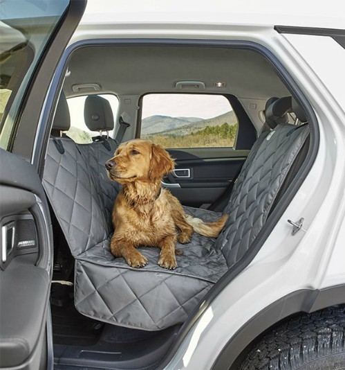 Những phụ kiện xe hơi dành cho chó ảnh 2 Những phụ kiện xe hơi dành cho chó ảnh 2