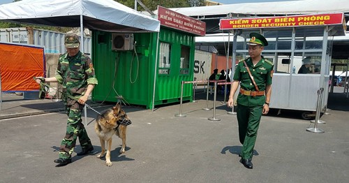 Chó nghiệp vụ đi tuần tại cầu cảng Tiên Sa trước khi thủy thủ đoàn tàu Hải quân Mỹ lên bờ. Ảnh: Nguyễn Đông.