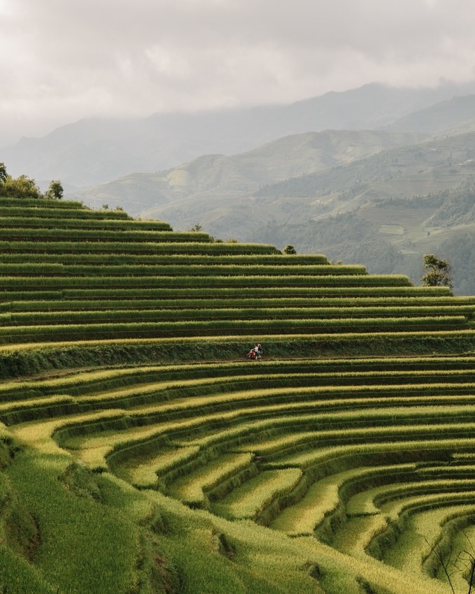 Khoảnh khắc đời thường ở Việt Nam qua ống kính nhiếp ảnh gia Bỉ ảnh 2