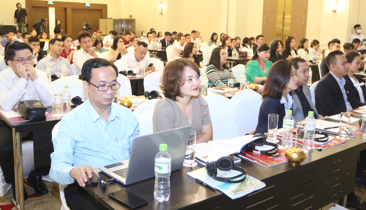 Sức hút đô thị biển ảnh 2 Sức hút đô thị biển ảnh 2