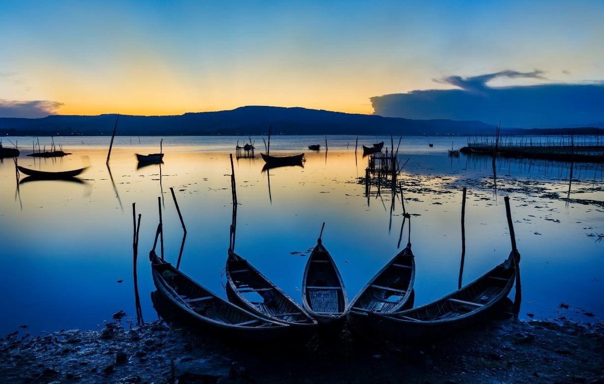 Giao lưu trực tuyến: “Phú Yên – Điểm đến hấp dẫn nhà đầu tư” ảnh 111