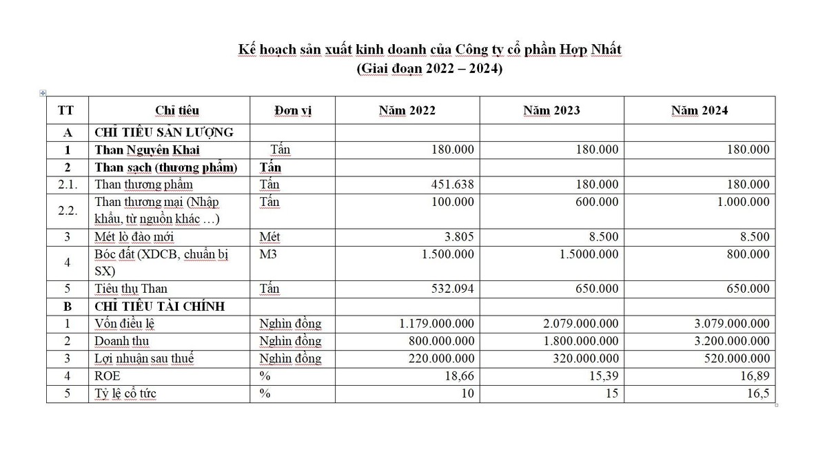 Kế hoạch sản xuất kinh doanh của Công ty cổ phần Hợp nhất (2022-2024)
