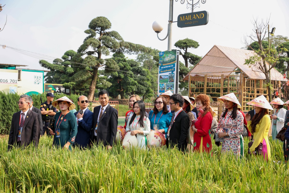 Home Hanoi Xuan 2023 với chủ đề Vũ trụ Tết diệu kỳ đã mang đến cho du khách những trải nghiệm ấn tượng. Ảnh: Home Hanoi Xuan.