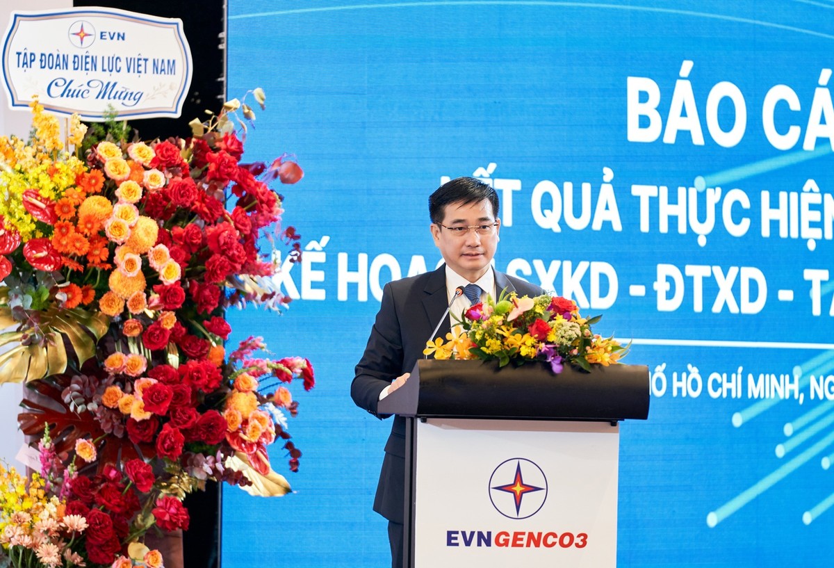 Ông Lê Văn Danh – Thành viên HĐQT, Tổng giám đốc EVNGENCO3 báo cáo tại kỳ họp