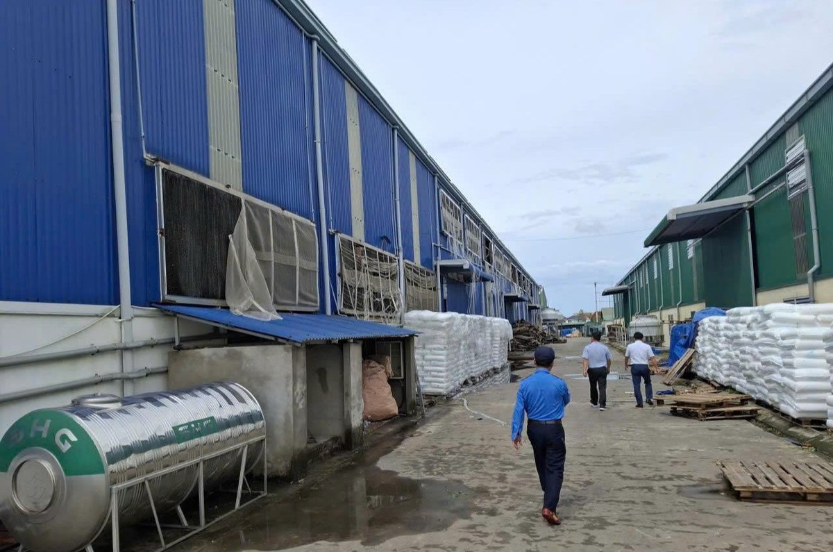 Bảo hiểm Bảo Việt có mặt tại hiện trường phối hợp công tác giám định cùng doanh nghiệp ngay khi mưa bão ngớt