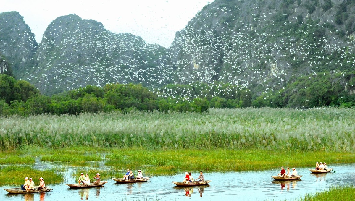 Khu bảo tồn thiên nhiên đất ngập nước Vân Long là khu Ramsar thứ 9 và sở hữu 2 kỷ lục của Việt Nam