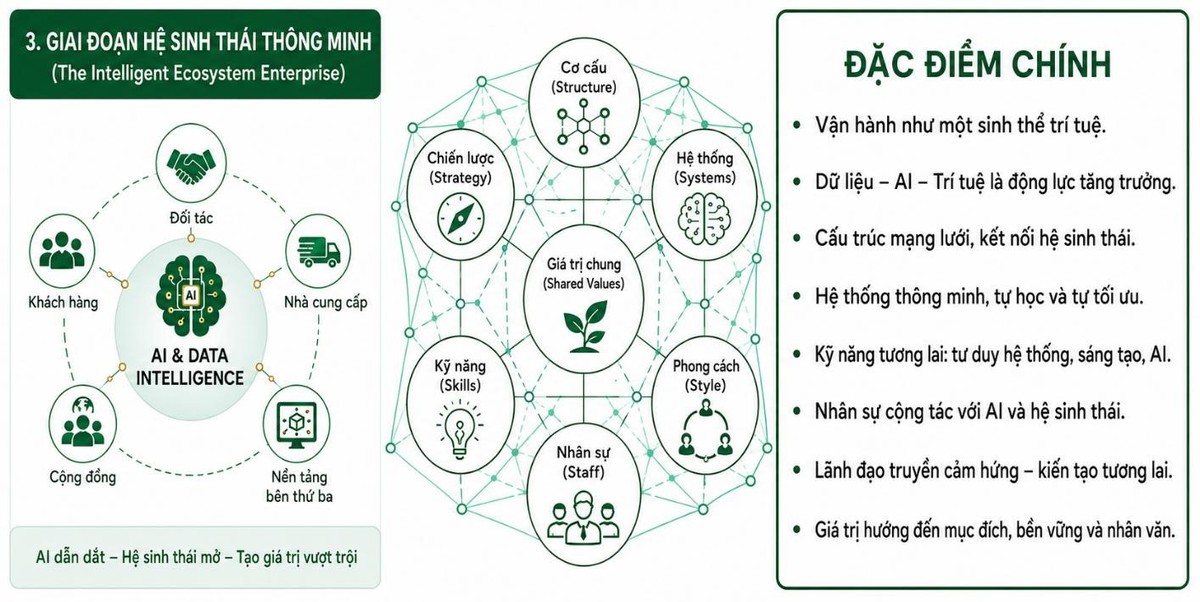 Hình 03: Các bước chuyển đổi của doanh nghiệp – thời đại hệ sinh thái thông minh Hình 03: Các bước chuyển đổi của doanh nghiệp – thời đại hệ sinh thái thông minh