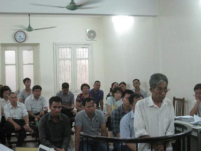 Tổng giám đốc phá vườn cây của người khác để xây biệt thự lĩnh án 4 năm tù ảnh 1