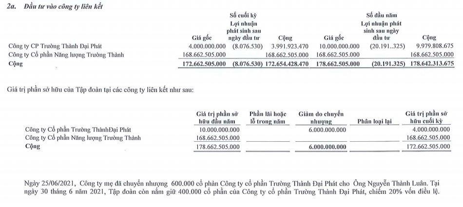 Khoản mục đầu tư vào công ty liên kết của TEG tính tới 30/6/2021 Khoản mục đầu tư vào công ty liên kết của TEG tính tới 30/6/2021