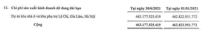 Chi phí sản xuất kinh doanh dở dang dài hạn của HTM tới 30/6/2021