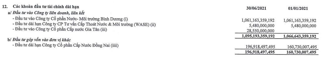 Đầu tư tài chính dài hạn của TDM tới 30/6/2021