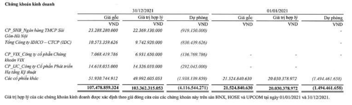 Danh mục chứng khoán của TLH tính tới 31/12/2021.