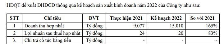 Kế hoạch năm 2022 của CTD.