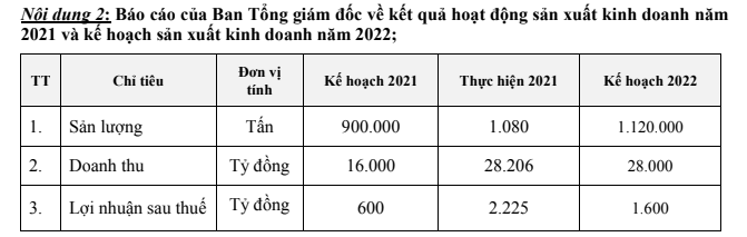 Kế hoạch năm 2022 của NKG.