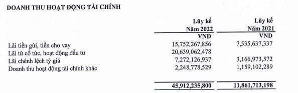 Cơ cấu doanh thu tài chính trong quý I/2022 của PET.