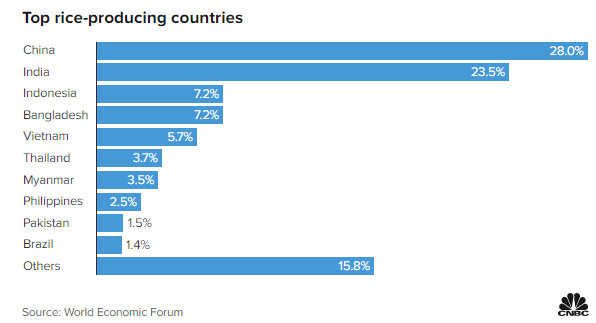 Top các quốc gia sản xuất gạo theo WEF