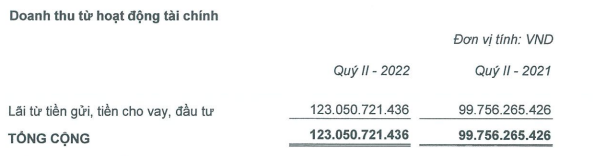 Cơ cấu doanh thu tài chính của VEF.