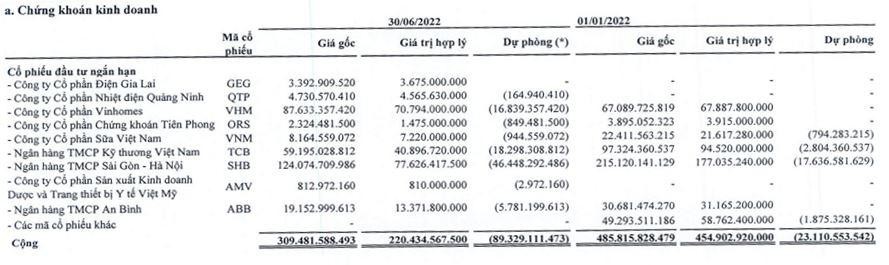 Danh mục đầu tư cổ phiếu của Nhà Đà Nẵng tới 30/6/2022.
