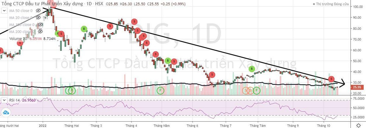 Cổ phiếu DIG liên tục giảm mạnh từ đầu năm tới nay (Nguồn: FireAnt).