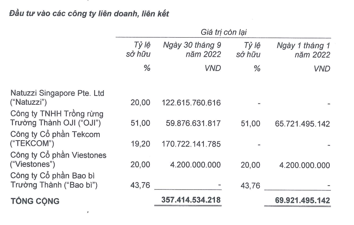 Cơ cấu khoản đầu tư vào công ty liên doanh, liên kết.