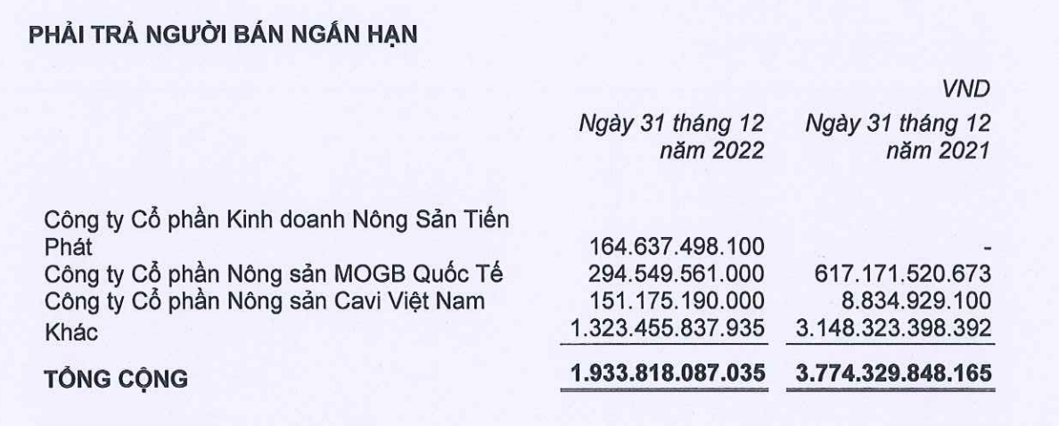 Phải trả người bán ngắn hạn giảm mạnh trong năm 2022.