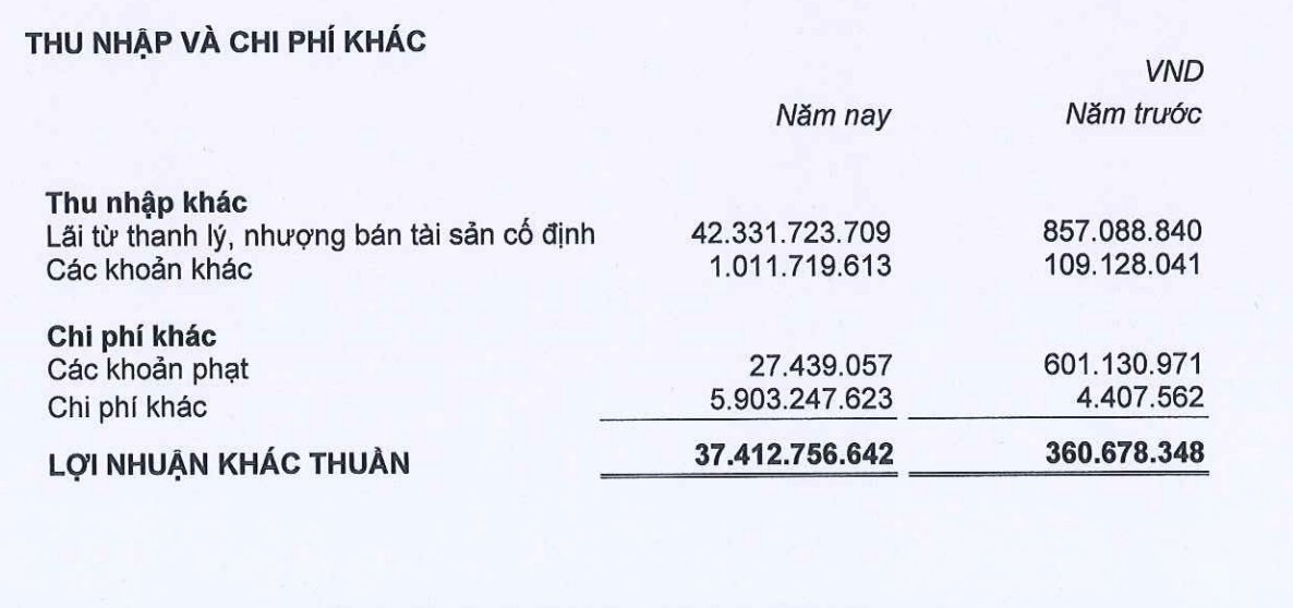 Cơ cấu thu nhập khác trong năm 2022.