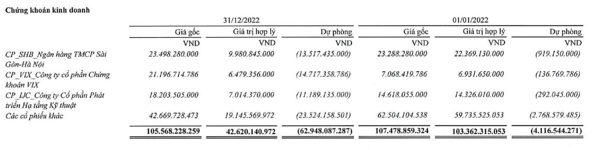 Danh mục đầu tư cổ phiếu của TLH tới 31/12/2022.