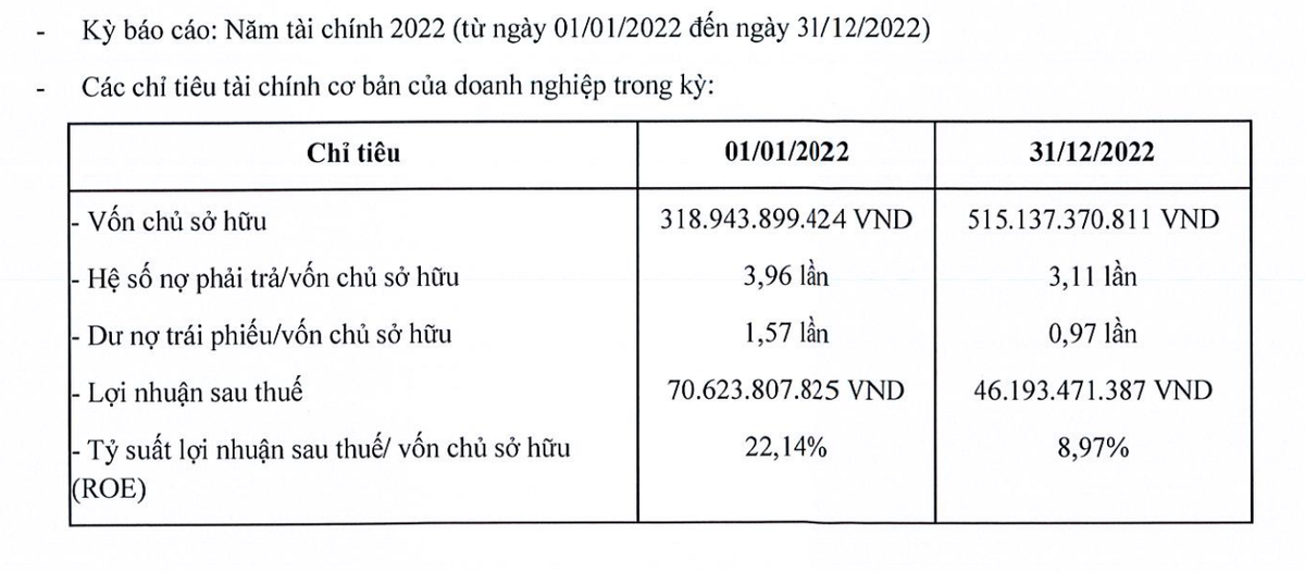 Đá quý và Trang sức Đức Tiến có lãi trong năm 2022