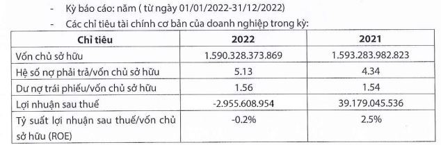 Công ty cổ phần Trung Nam ghi nhận lỗ trong năm 2022 ảnh 1