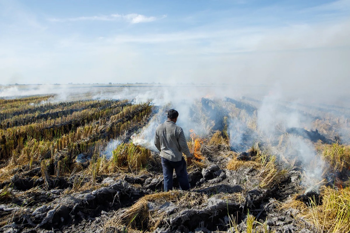 Các đợt nắng nóng đã thiêu rụi nhiều khu vực ở châu Á trong năm nay và hiện tượng El Nino đang rình rập sẵn sàng làm tăng thêm sức nóng, đe dọa mùa màng ở nhiều nơi như Malaysia