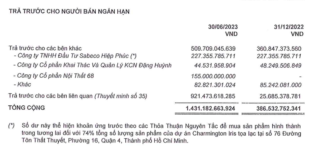 TTC Land ghi nhận trả trước cho bên liên quan tăng mạnh