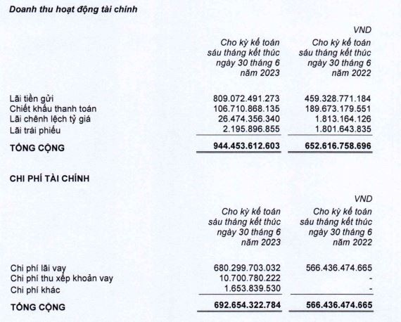 Cơ cấu doanh thu và chi phí tài chính trong 6 tháng đầu năm 2023